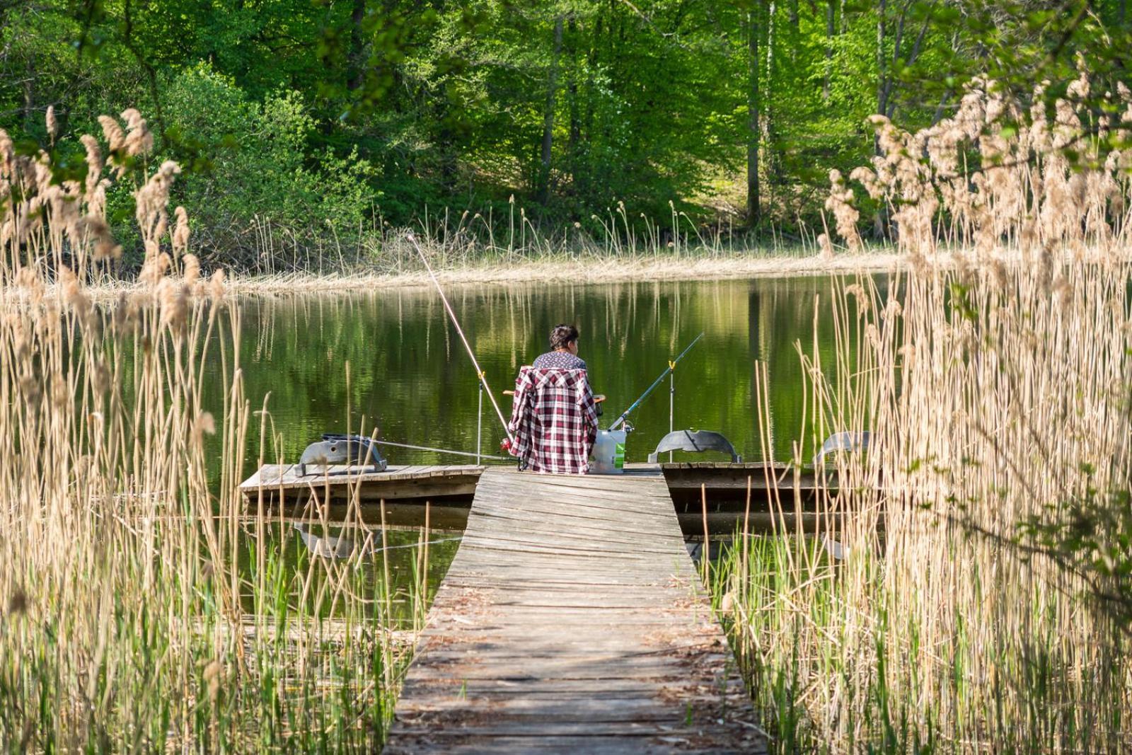 Osrodek Wypoczynkowy Camping Tumiany Esterno foto